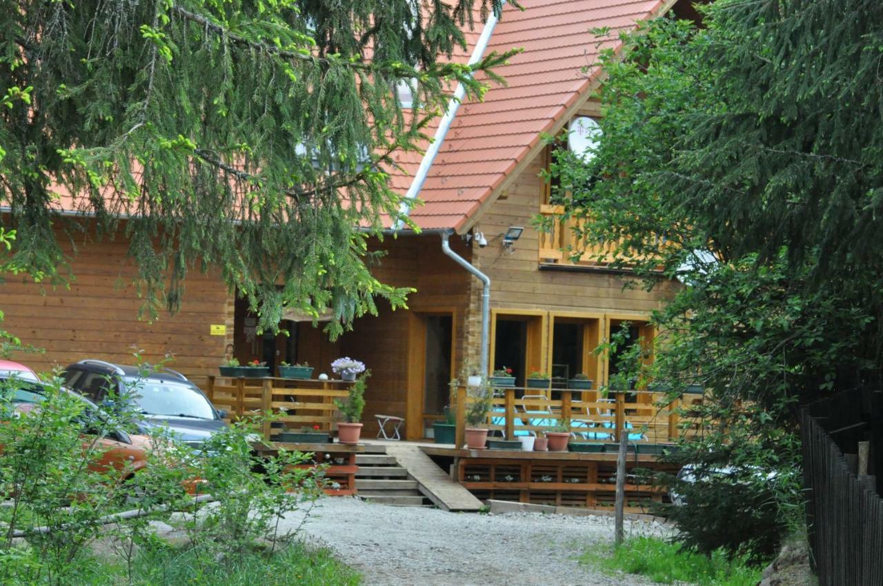 Mofetta Panzio Bed & Breakfast Sintimbru-Bai Exterior photo